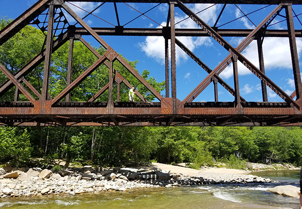 Bartlett, NH Real Estate & Homes