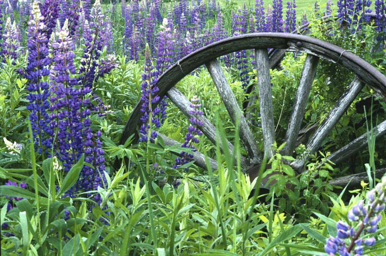 Brookfield, NH Real Estate & Homes