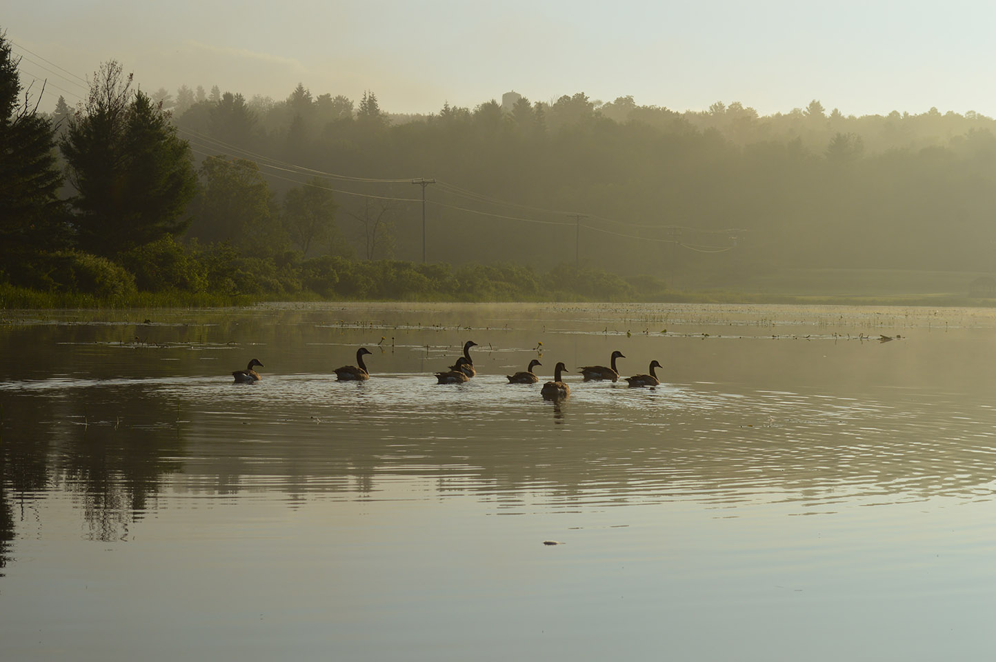 Casco, ME Real Estate & Homes for Sale