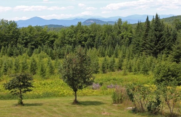 Denmark, NH Real Estate & Homes for Sale