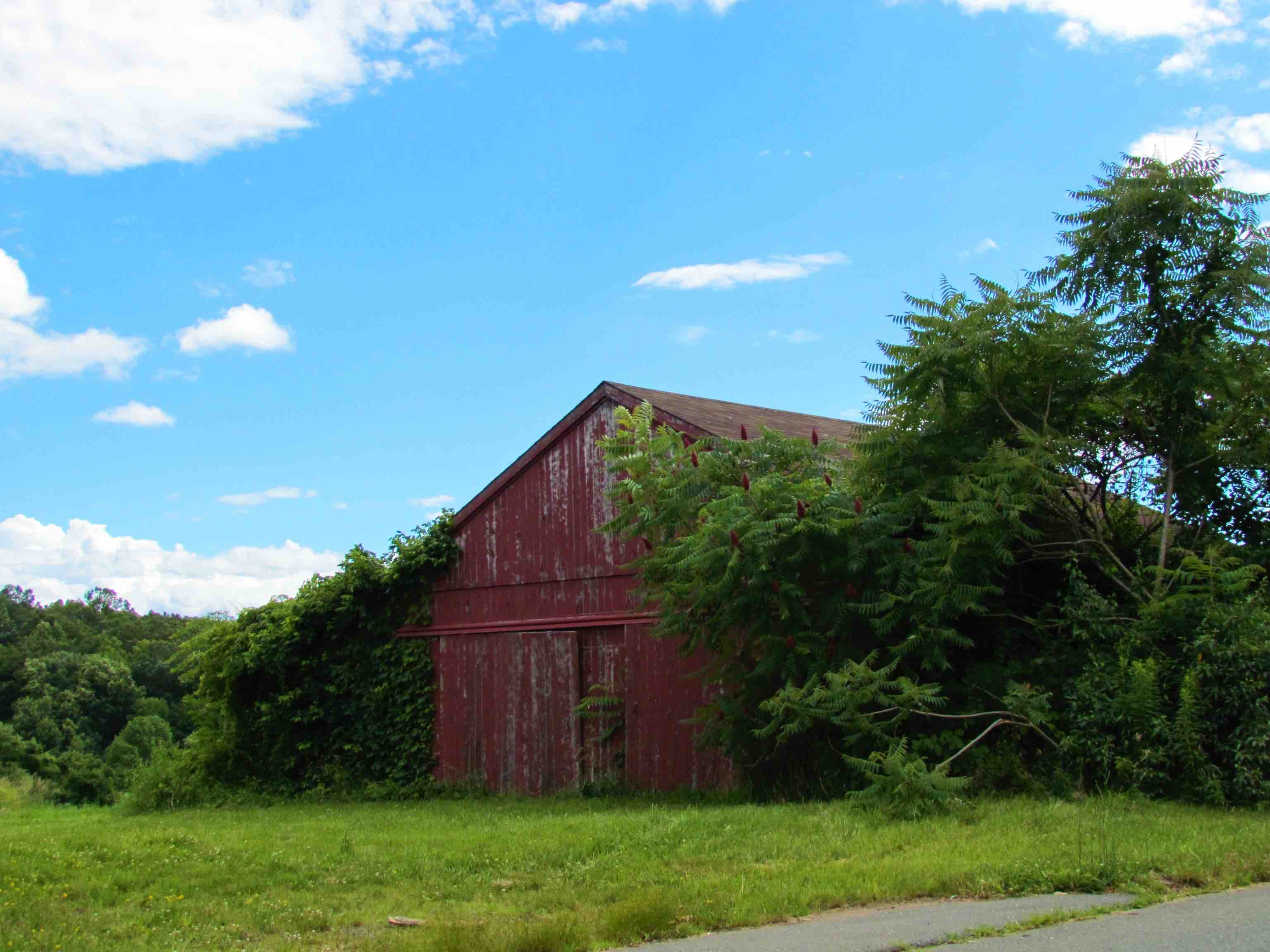 Dummer, NH Real Estate & Homes for Sale