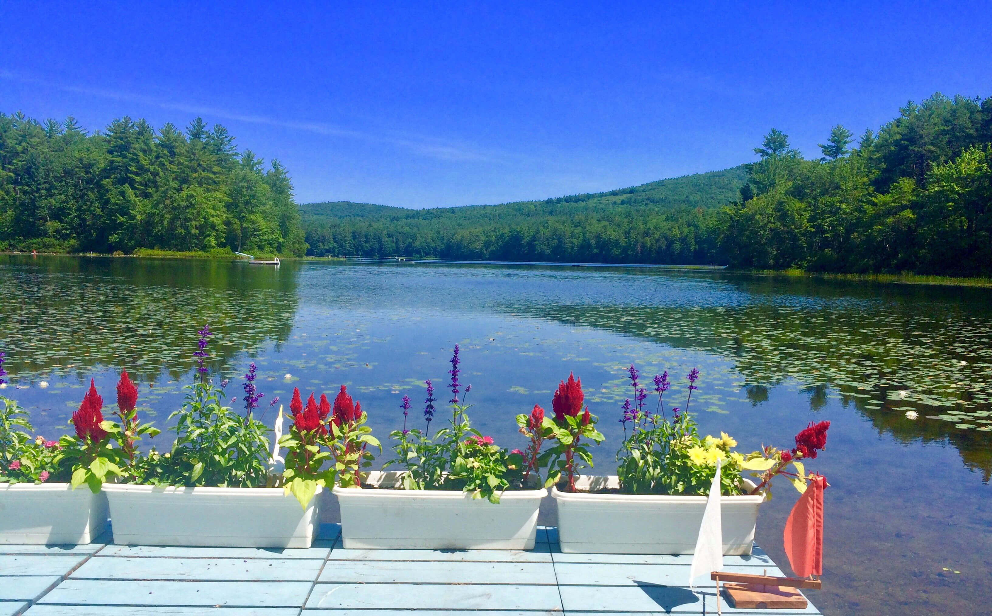 Freedom, NH Real Estate & Homes for Sale