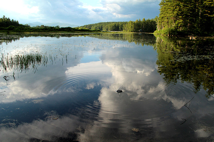 Moultonborough, NH Homes for Sale Moultonborough, NH Real Estate & Homes for Sale