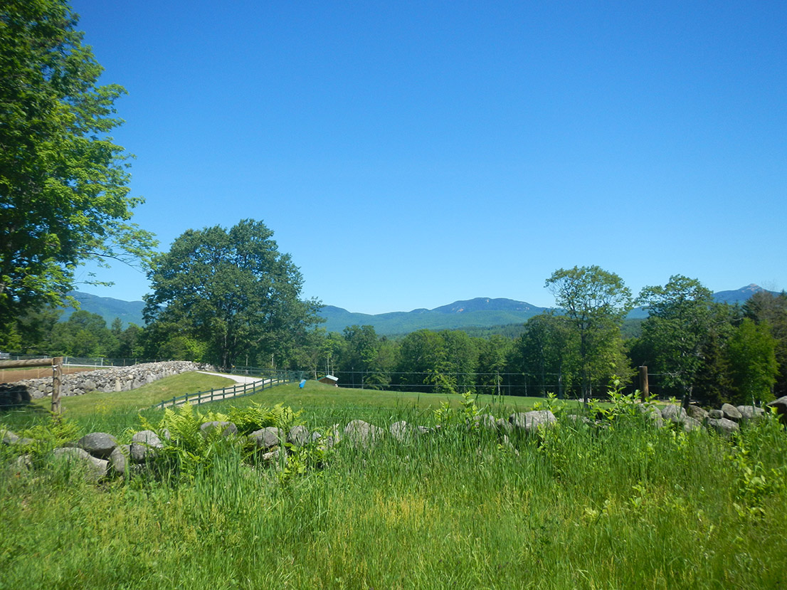 Sandwich, NH Real Estate & Homes for Sale