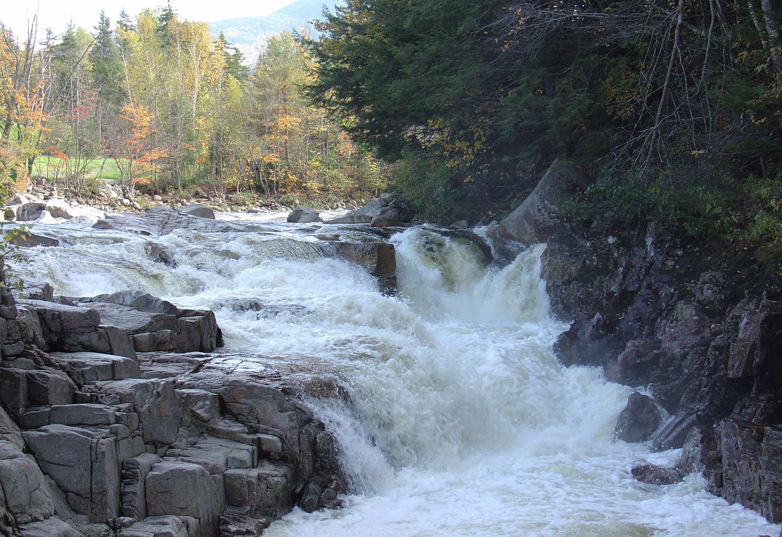 Shelburne, NH Real Estate & Homes for Sale