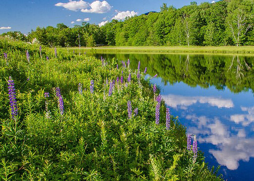 Waterville Valley, NH Homes for Sale Waterville Valley, NH Real Estate & Homes for Sale