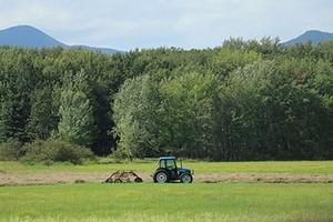 Stow, ME Real Estate & Homes for Sale